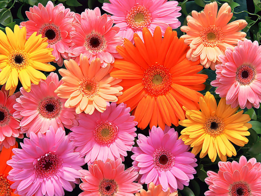429557 (a): :1600x1200